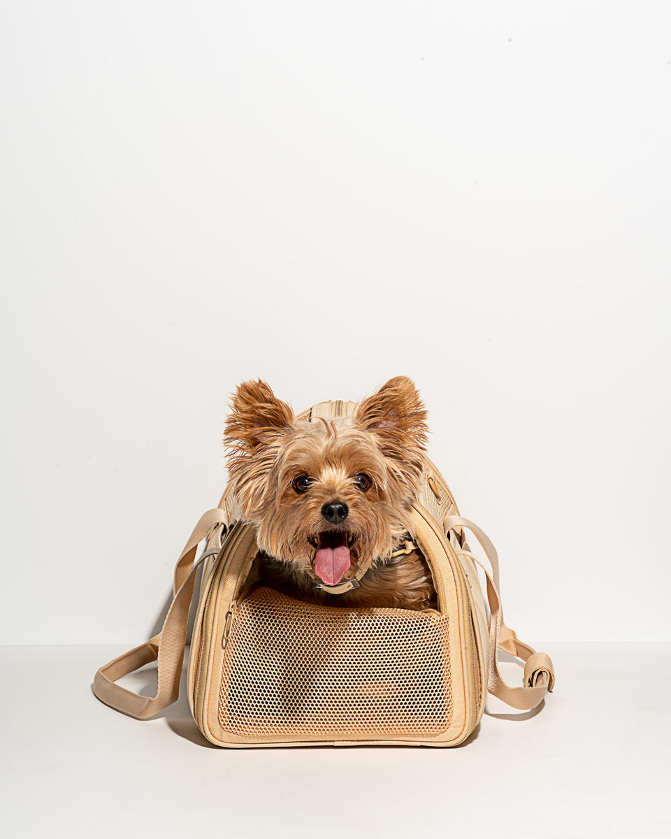 http://www.nnyeo.com/cdn/shop/products/WO_VM_Studio_PDP_TravelCarrier_Tan_Dog_07_Web_1f26dad9-2b74-4985-ae06-0f526580cd6e_1200x1200.jpg?v=1672547259