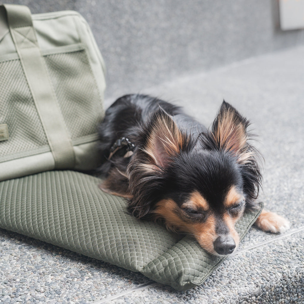 Lambwolf Collective | Subway Pet Carrier, Fern | Suitable for Cats, Rabbits & Small Dog Breeds