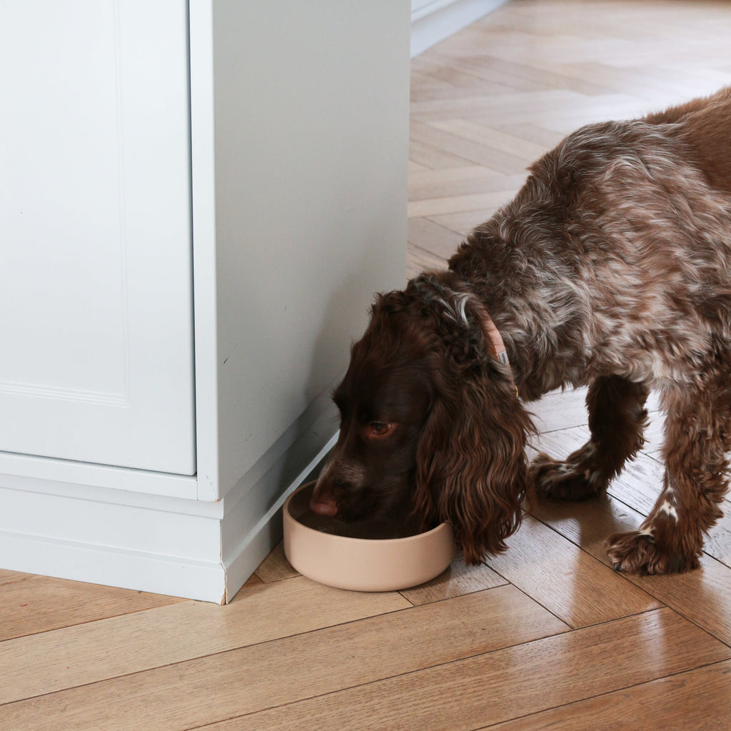 Tadazhi Silicone Bowl | Allergy-Friendly, Microwave, Freezer & Dishwasher Safe