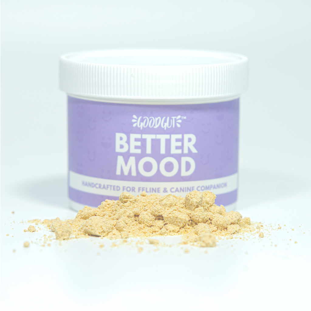 NNYEO Pet | Better Mood Supplement for Cats & Dogs | By Good Gut Singapore