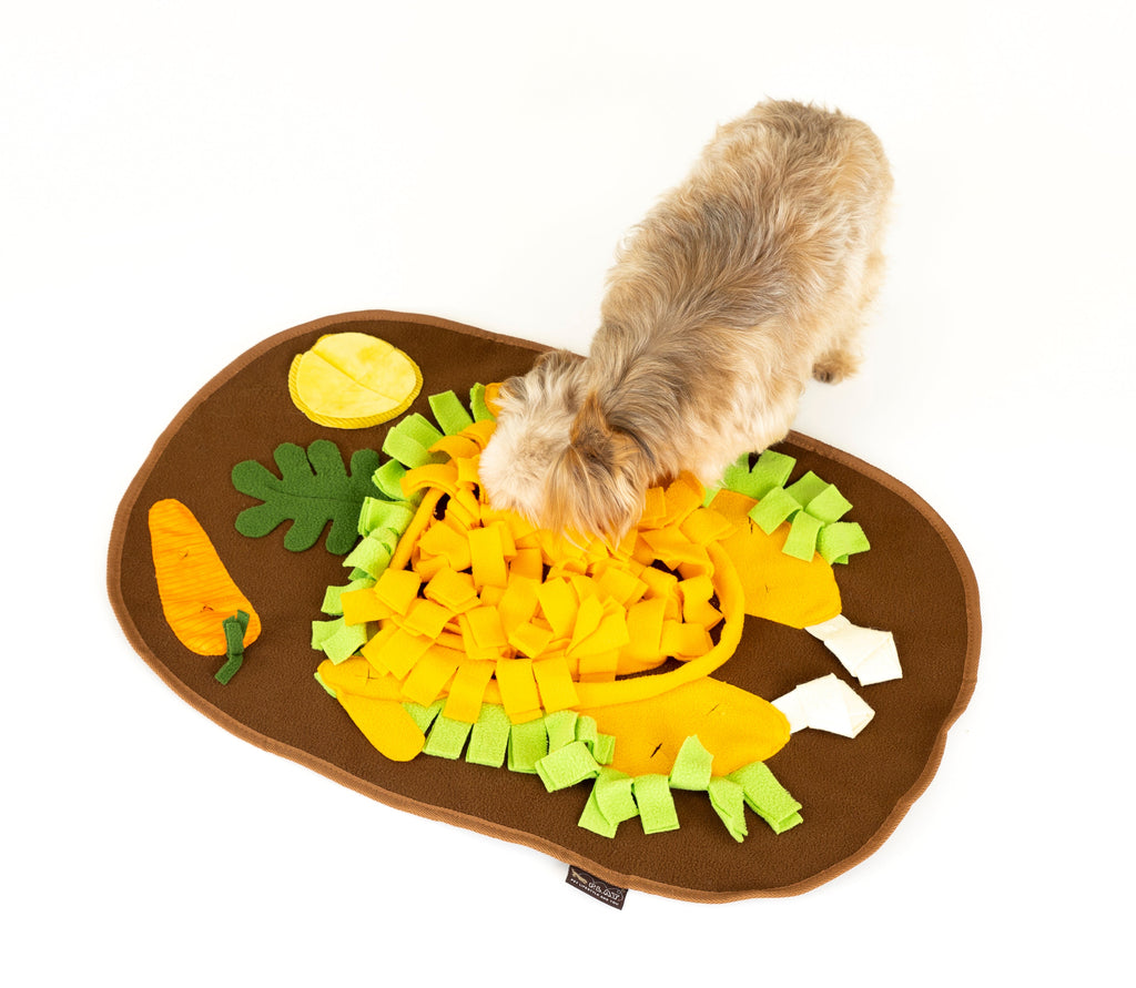 P.L.A.Y. Snuffle Mat for Dogs & Cats, Thanksgiving Turkey