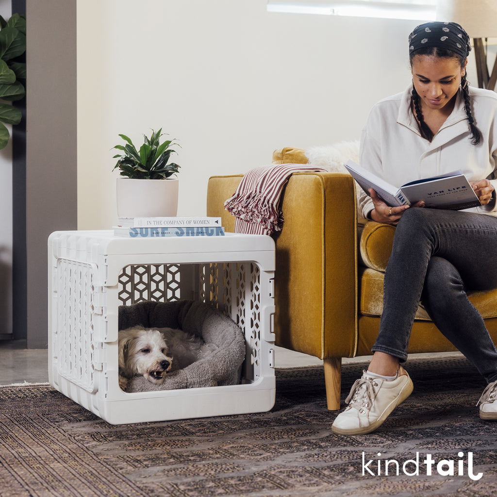 KindTail PAWD® Collapsible Pet Crate