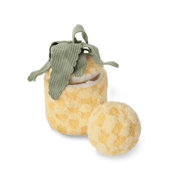 Lambwolf Collective Pineapple Pop | Interactive Toy for Dogs