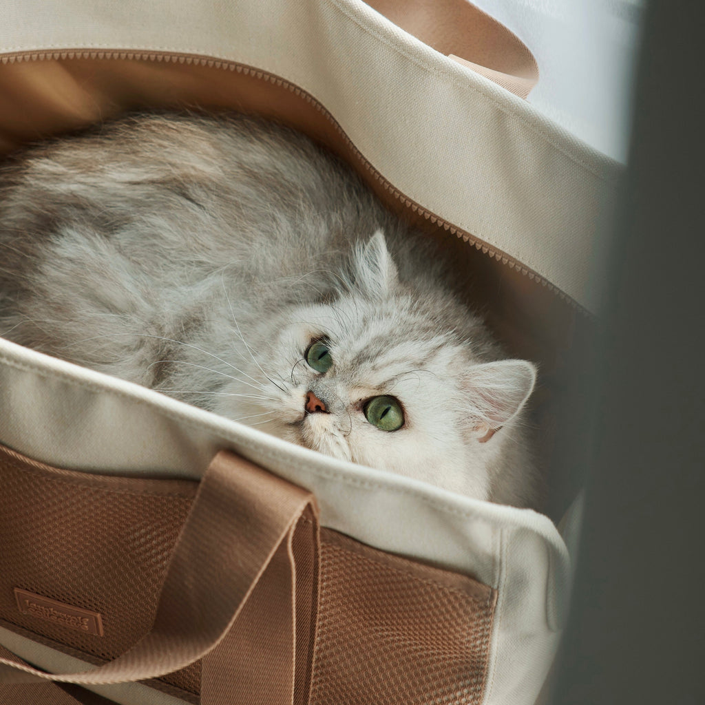 Lambwolf Collective | Subway Pet Carrier, Camel | Suitable for Cats, Rabbits & Small Dog Breeds