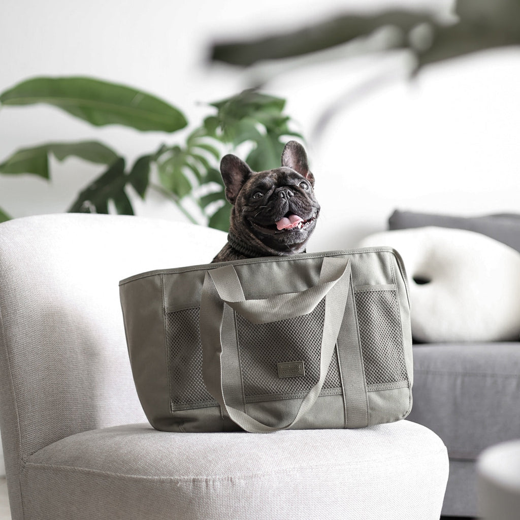 Lambwolf Collective | Subway Pet Carrier, Fern | Suitable for Cats, Rabbits & Small Dog Breeds