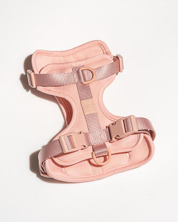 Wild One Dog Harness in Blush Pink | No Pull Harness