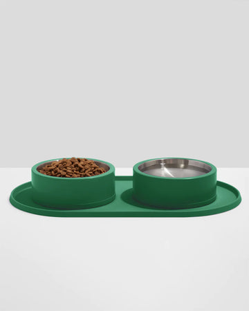 Wild One Meal Kit | Stainless Steel Non-Slip Bowl and Placemat for Cats & Dogs